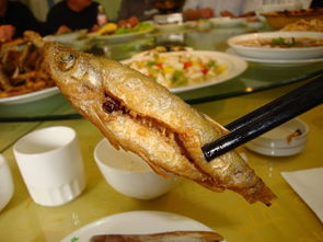 威海美食地圖 山海之間的舌尖盛宴